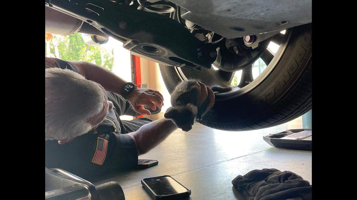 A kitten was rescued after getting stuck under an SUV for hours.