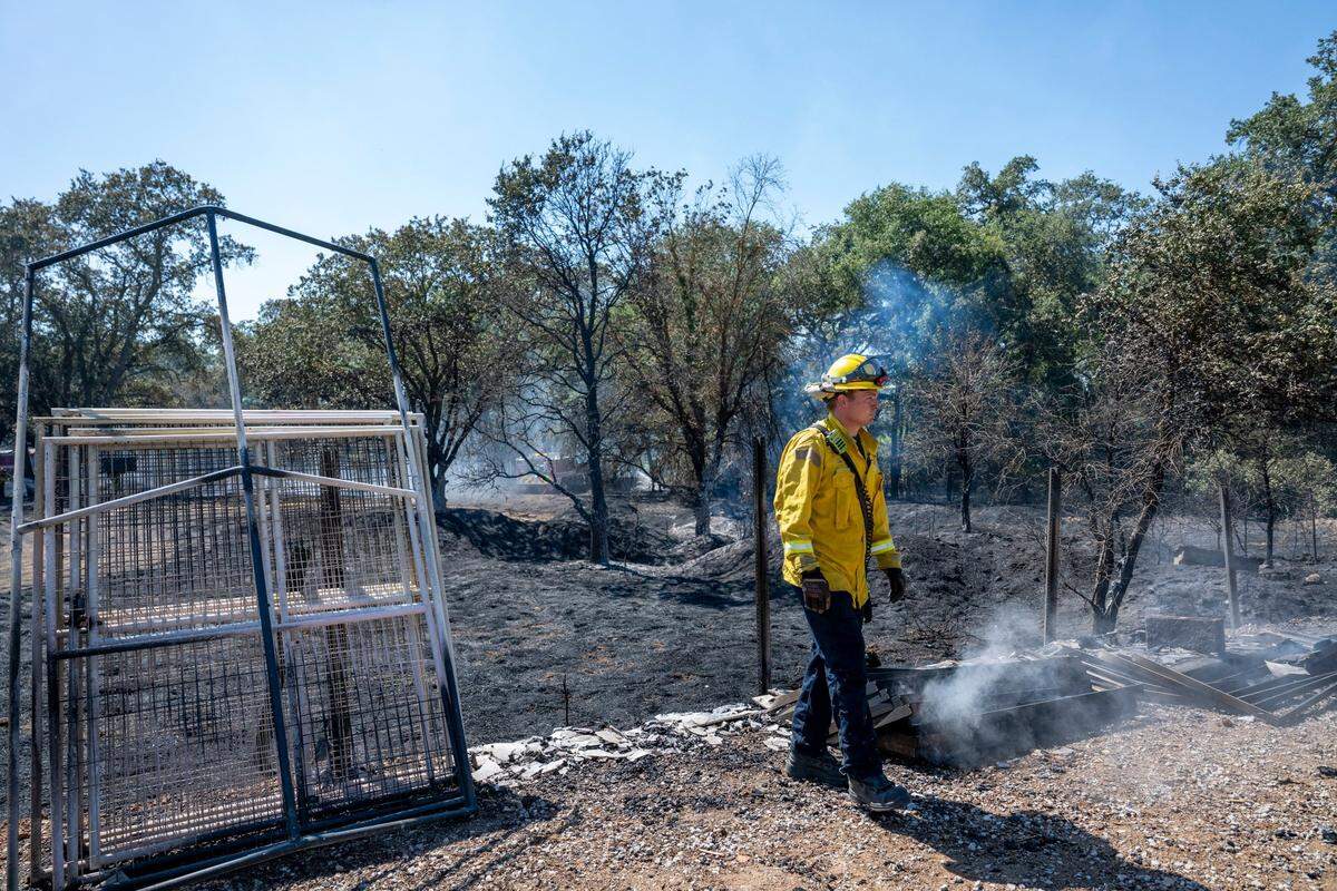 A firefighter from Sacramento Metro Fire Department surveys the Donchenko’s property after the forward progress of a brush fire near Dry Creek Road in Rio Linda had been stopped on Monday, July 7, 2025.