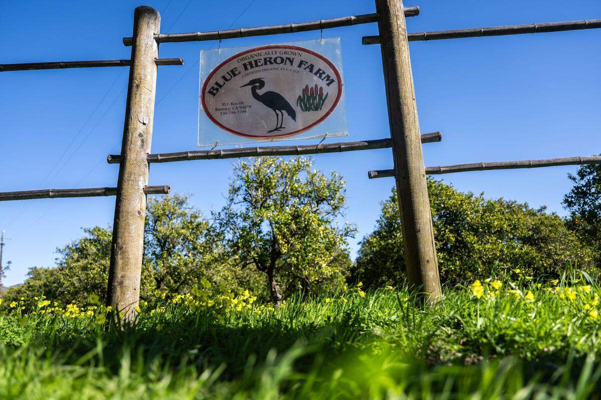 The sign for Blue Heron Farm stands in Capay Valley on Friday, March 7, 2025. The farm was purchased by the Sacramento Natural Foods Co-op.