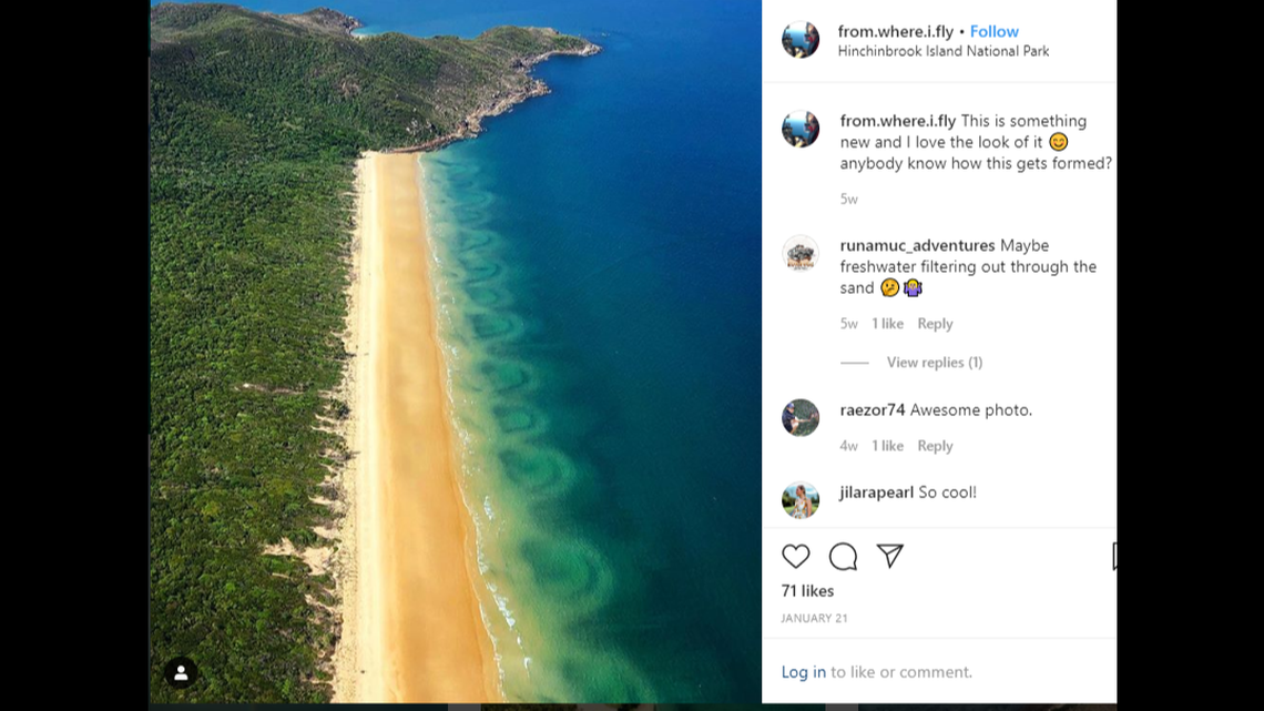 The image, caught by a helicopter pilot, shows a series of serpentine circles undulating from the beach. The island in northeastern Australia is about 5 miles off the Queensland coast.