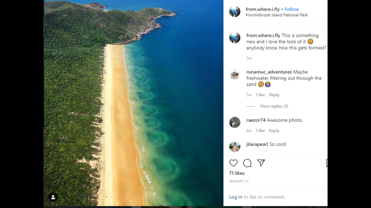 The image, caught by a helicopter pilot, shows a series of serpentine circles undulating from the beach. The island in northeastern Australia is about 5 miles off the Queensland coast.