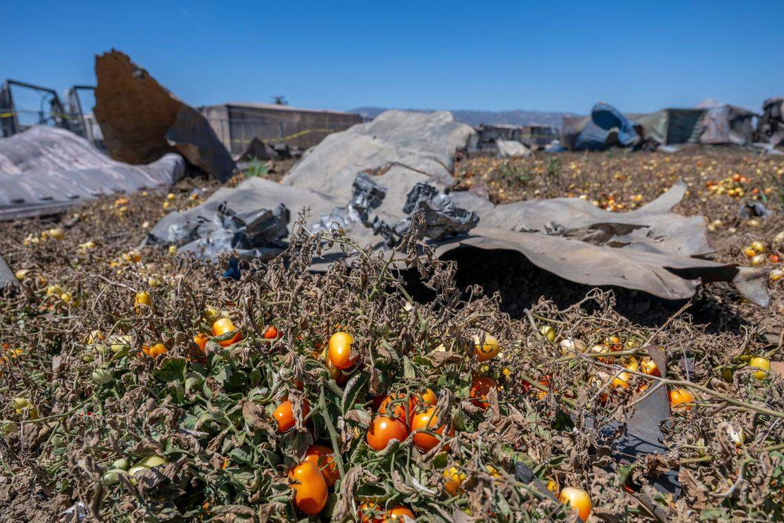 Debris from the Devastating Pyrotechnics explosion sits in a nearby agricultural field on July 21.