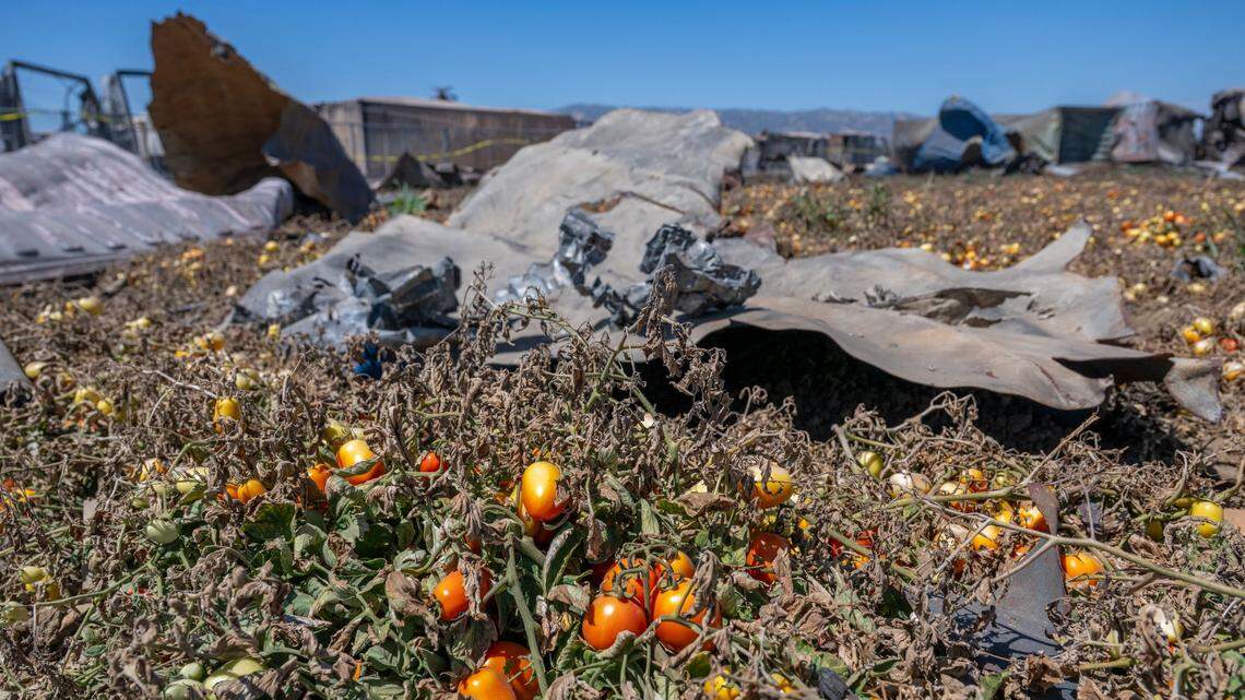Was the Esparto fireworks facility a deadly powder keg hiding in plain sight?