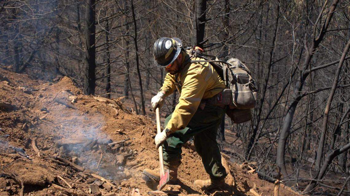 A firefighter with a ground crew works on a smoldering spot of the Park Fire, a massive wildfire that has burned nearly 430,000 acres in Butte and Tehama counties in Northern California.