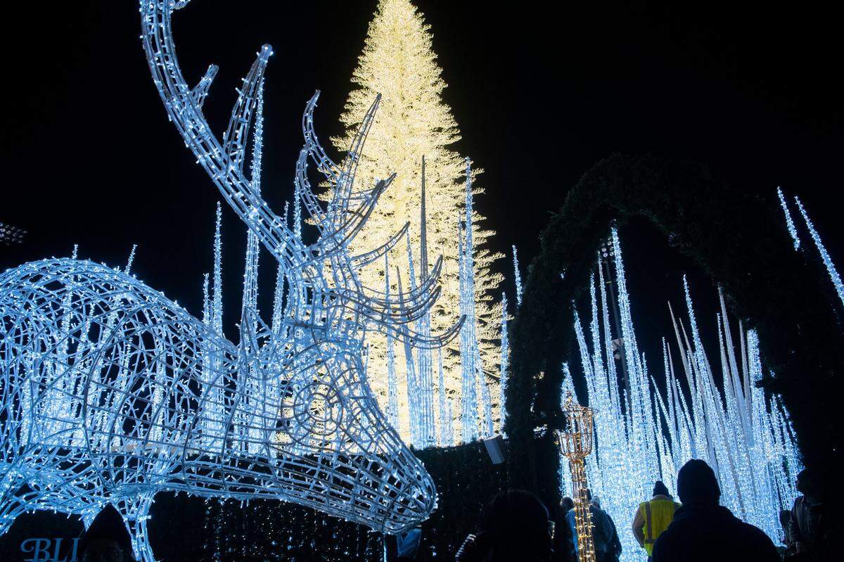 People walk through â€œEnchantâ€ a new holiday light show at First Horizon Park  in Nashville , Tenn., Wednesday, Nov. 23, 2022.Lights014