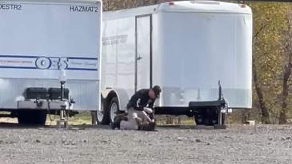 A video posted to Facebook of a Vacaville, California, police officer repeatedly punching a K-9 during a training exercise will be investigated, authorities say.