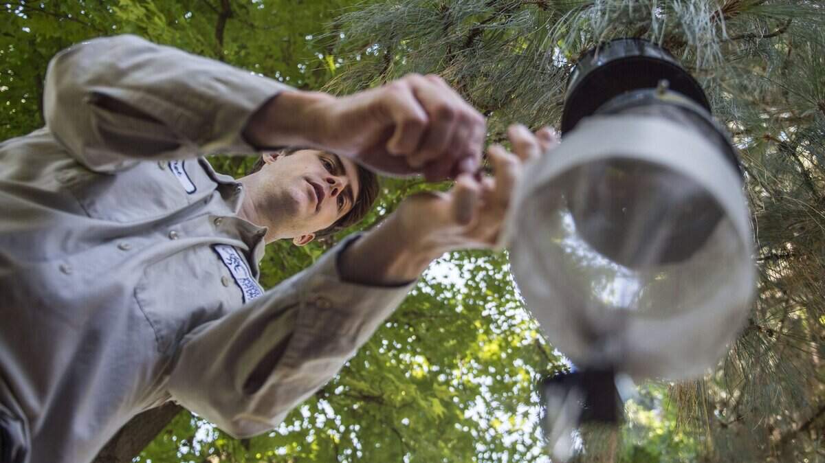 Bret Barner, a laboratory technician with the Sacramento-Yolo Mosquito & Vector Control District, places a trap for mosquitos at Seymour Park in the Pocket neighborhood on Wednesday, July 18, 2018. A resident found a dead crow that tested positive for West Nile Virus causing the district to capture and test for mosquitoes.