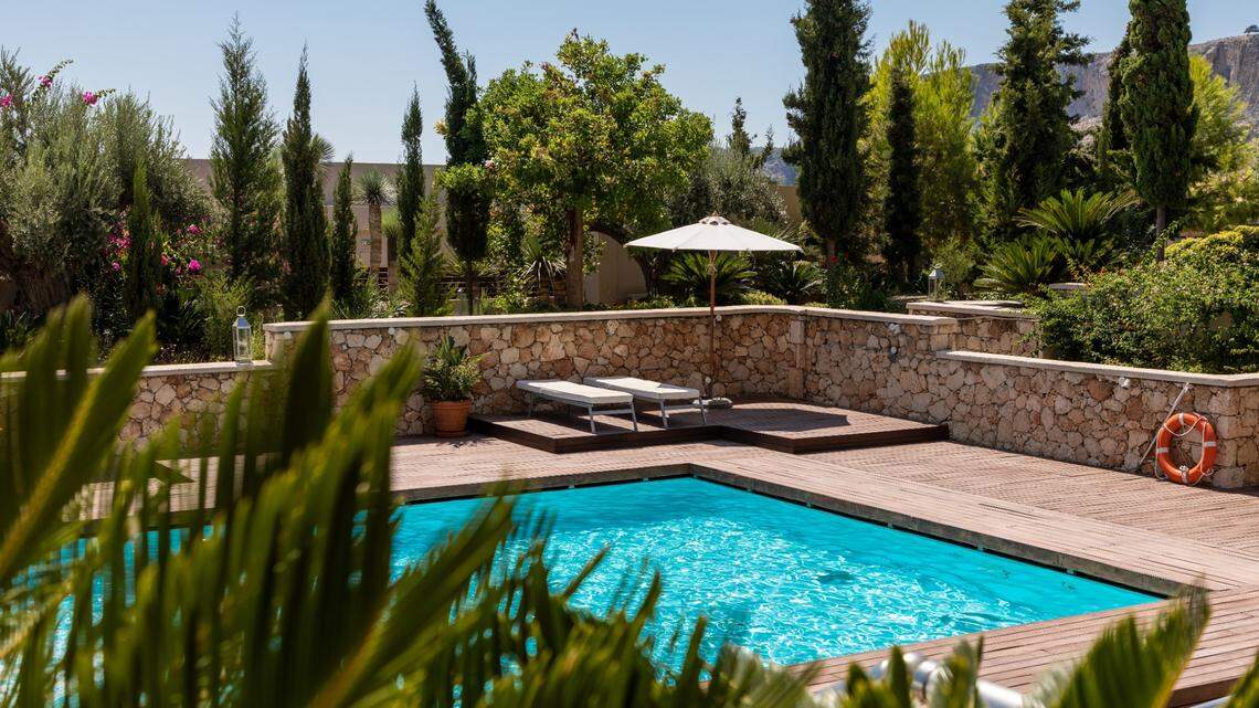 An unexpected guest gulped water straight out of a backyard swimming pool in Arizona, almost as if it was its own personal water dish.