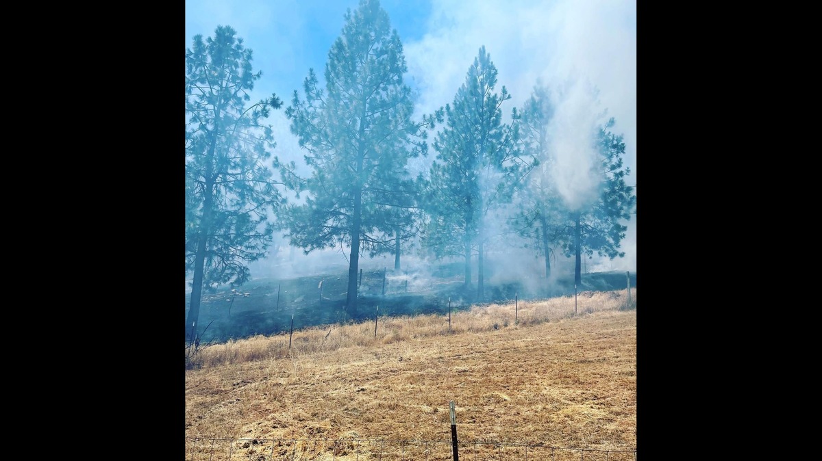 Cal Fire and sheriff’s deputies responded to a vegetation fire near Meath Drive in Amador County on Friday, July 16, 2021.
