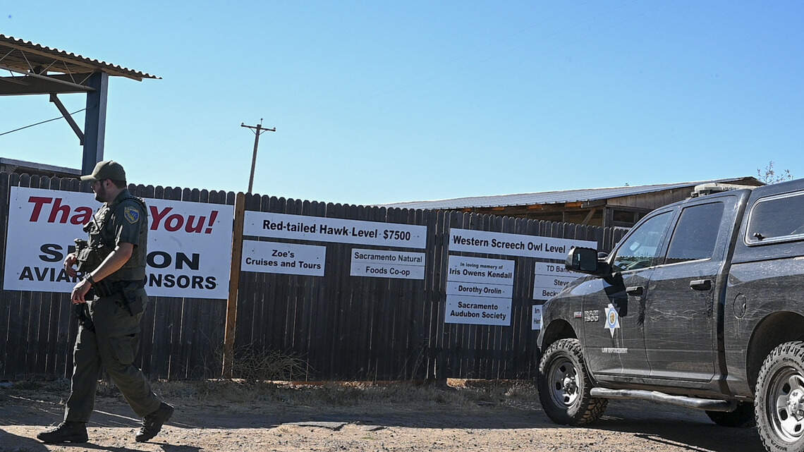 Sacramento County’s only wildlife rehab center closed by regulators after staff walks out