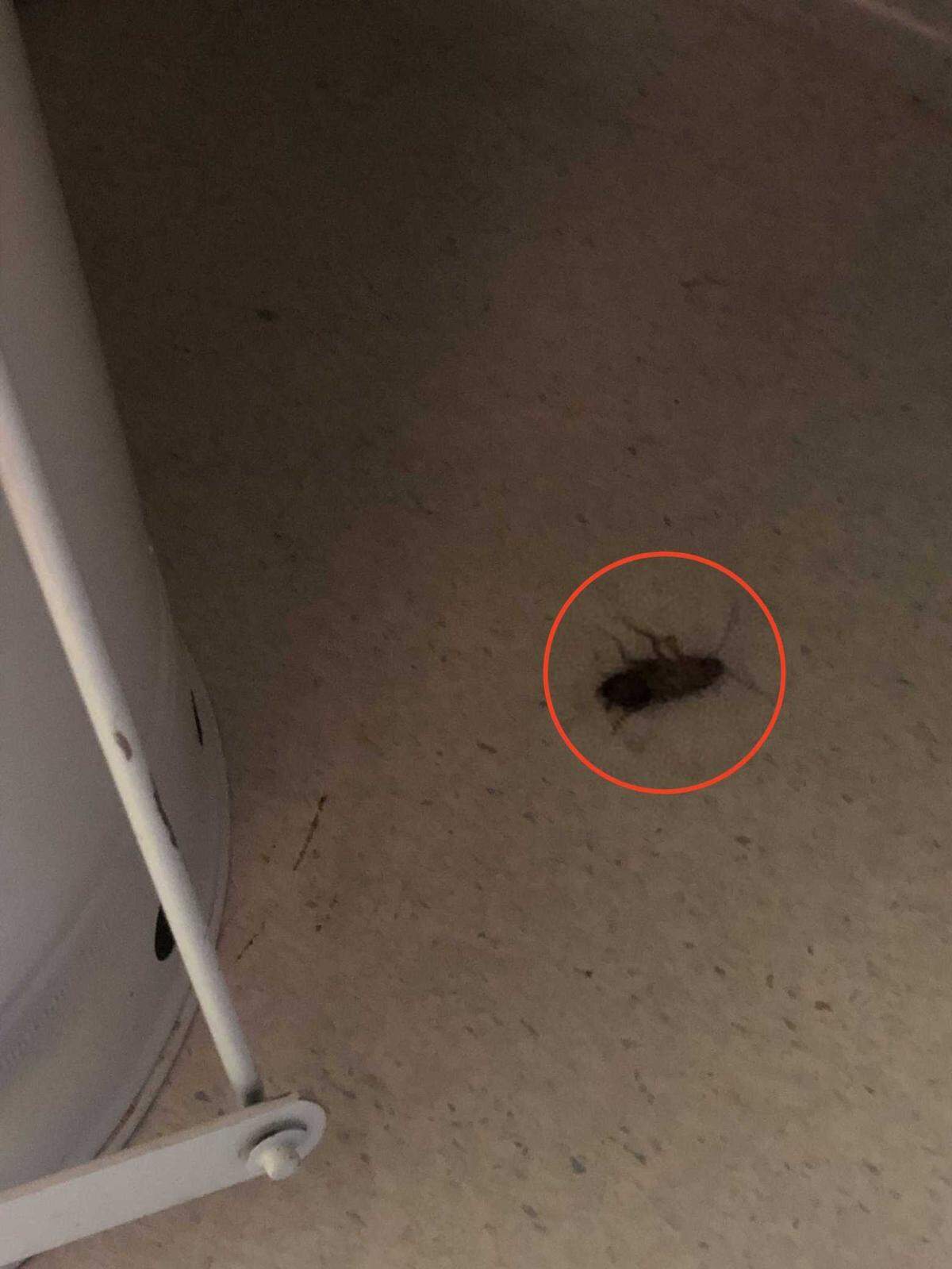 A dead cockroach lies on the floor in a medication room on Dec. 15, 2021. In a report published by the California Office of the Inspector General in October 2022, the overall quality of health care at California State Prison, Sacramento was rated “inadequate.”
