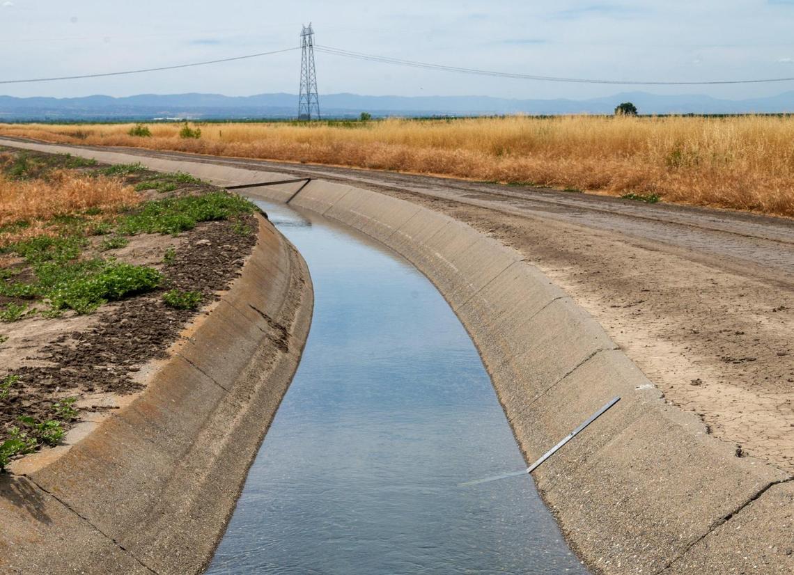 The Reclamation District Canal 108 irrigates the fields of Yolo County farmer Fritz Durst in June. He left his 500 acres of rice filed idle this spring and planted spelt and hay.