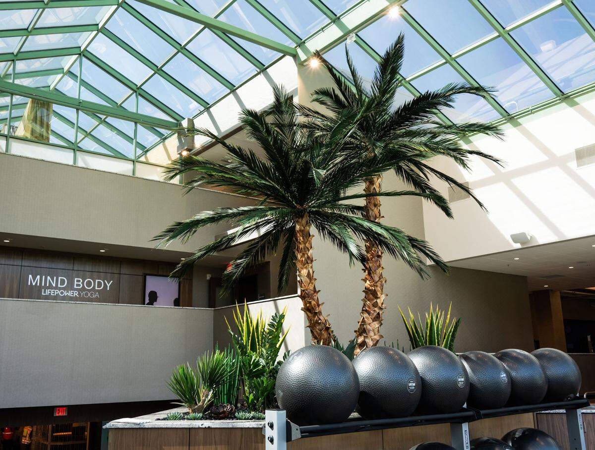 The foyer at Life Time Arden – featuring palm trees, high ceilings and of natural light – awaits customers on Thursday, the day before its grand opening.