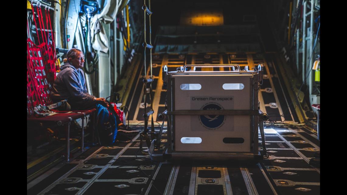 Rare sea creature rescued in Hawaii, officials say. ‘Ready to reclaim his place’