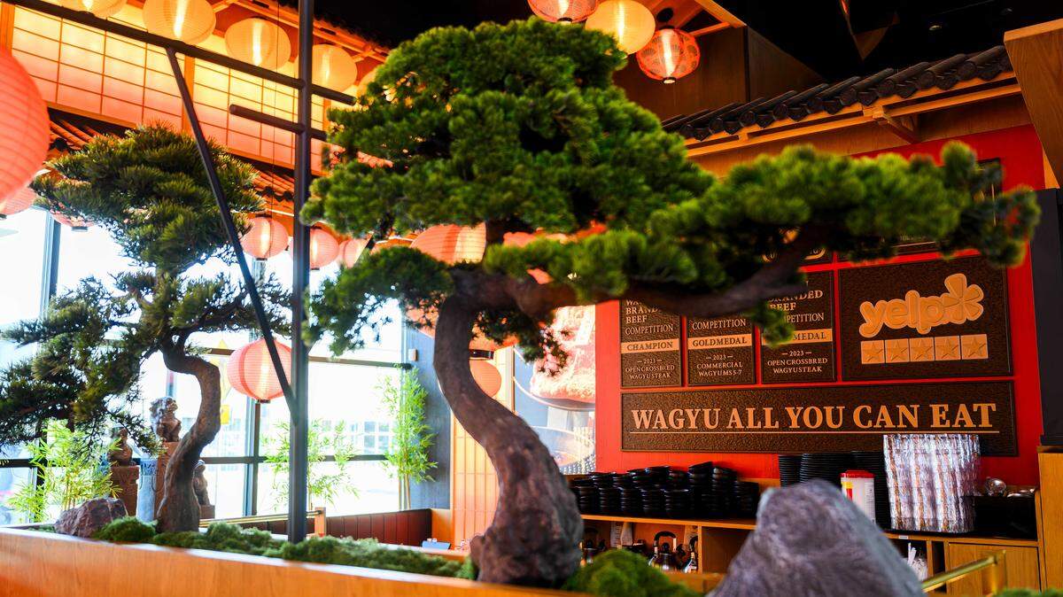 Bonsai trees decorate the dining room at Chubby Cattle, a wagyu beef hot pot restaurant in the Sakura Novi development in Novi, Mich., on Feb. 28. The Los Angeles-based restaurant chain plans to open its first Sacramento-area location in Roseville at the former Tahoe Joe’s site on Taylor Road.