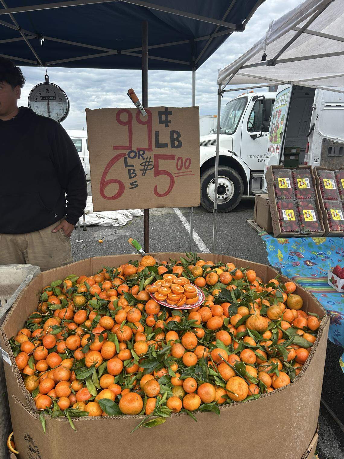 Bargain Produce offers fresh candy mandarins for 99 cents per pound at the Galt Flea Market.