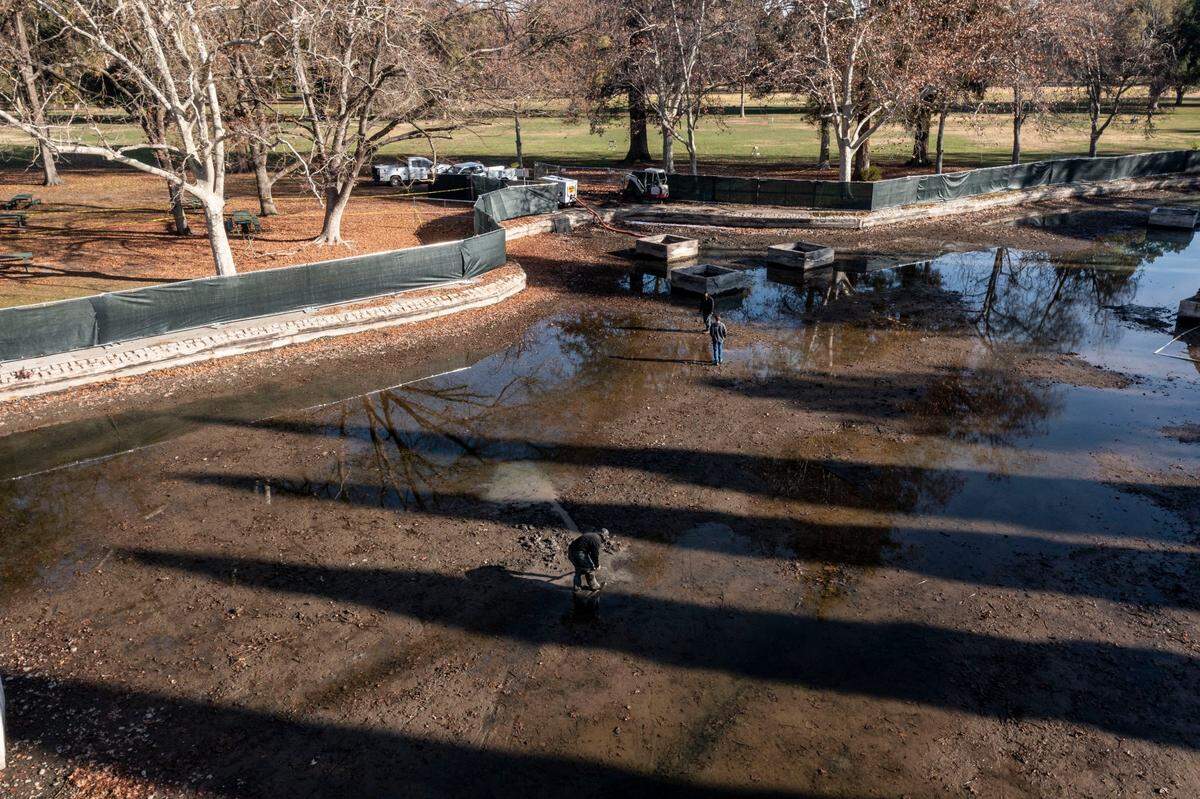 Workers conduct maintenance on the William Land Park duck and lily pond on Thursday, Dec, 15, 2022. The pond has been drained in an effort to protect nearby Sacramento Zoo birds from the avian flu.