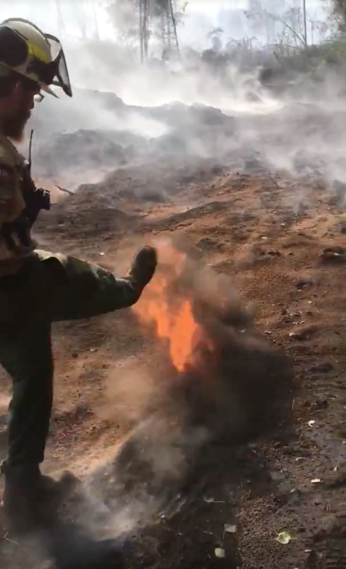 A California firefighter kicking soil in an Alberta forest, introducing the soil to oxygen and causing it to flame up.