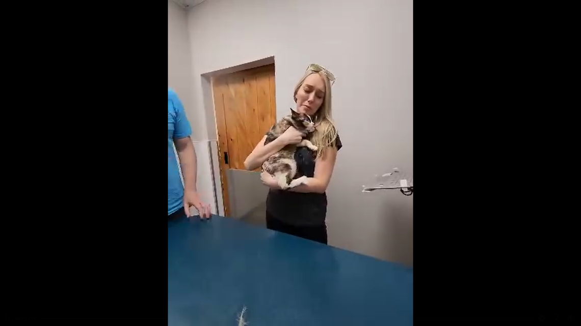 A cat named Galena ended up in Calfornia after hiding in an Amazon return package at her Utah home, her owner said. She went six days without food.