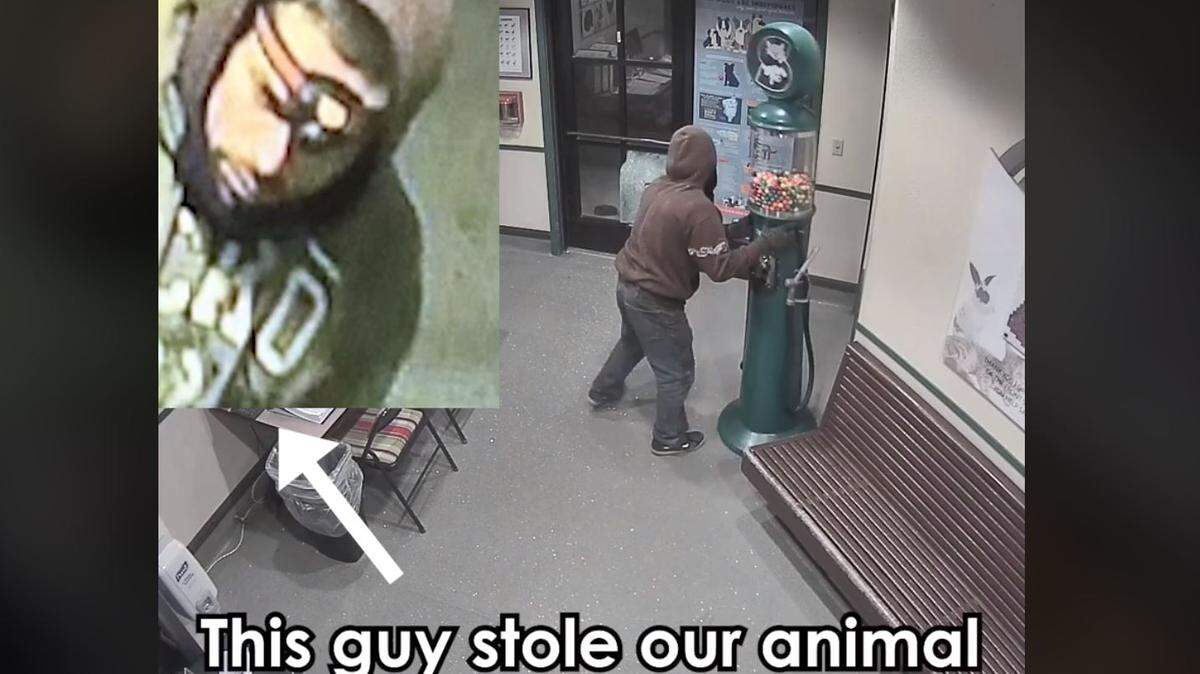 Screenshot from a Facebook video showing the "Gumball Bandit" stealing a gumball machine from Front Street Animal Shelter in Sacramento.