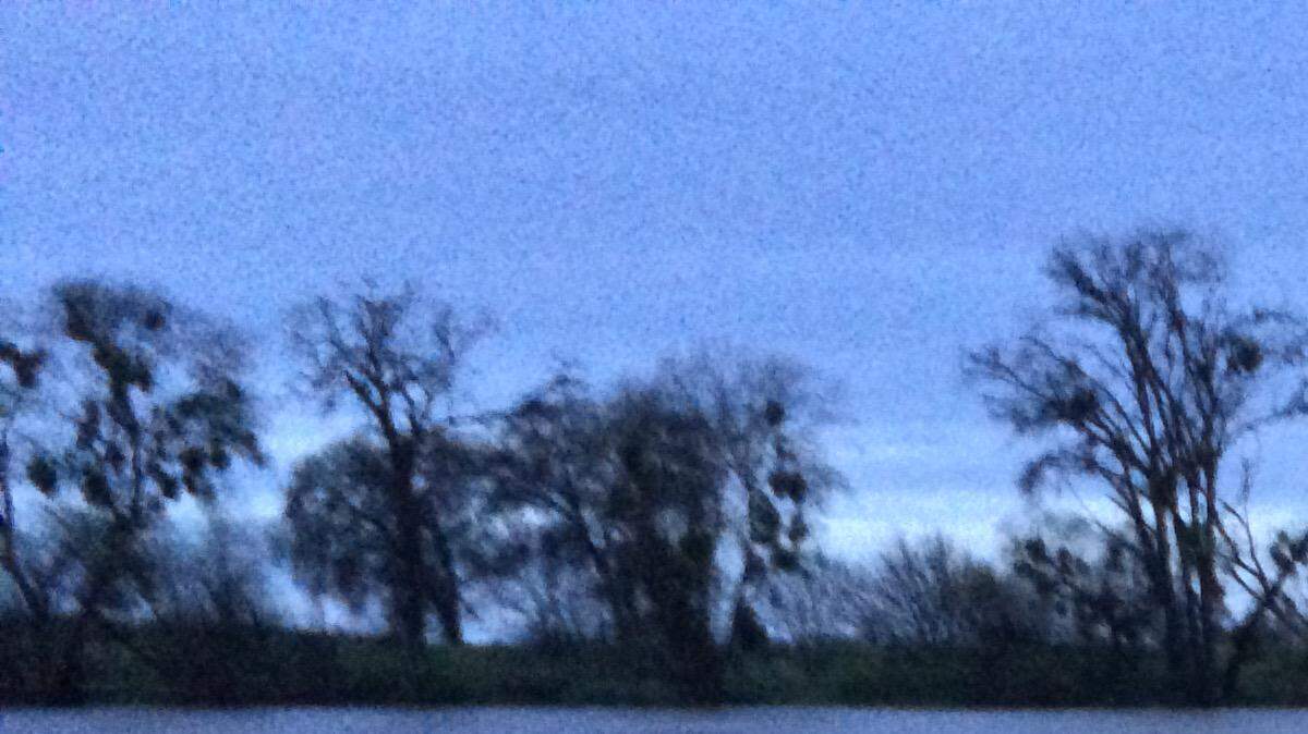 A yard gate begins to disappear as the Sacramento River continues to rise out on Garden Highway near Verona.