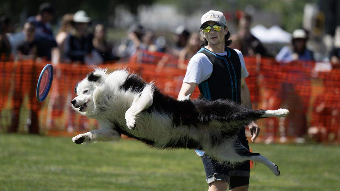 Picnic Day kicks off peacefully with extra security in Davis after 2025 shooting