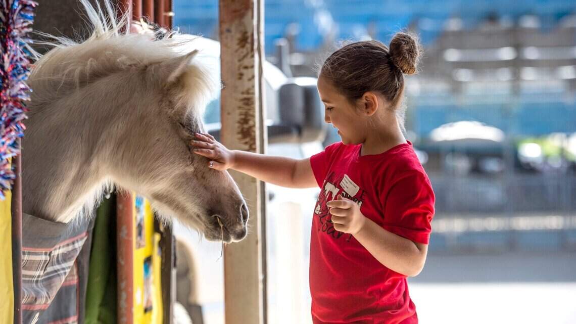 Sacramento County Fair returns to Cal Expo this week. Here’s what a $10 ticket gets you
