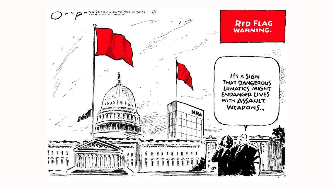 Jack Ohman: America, flagged ...