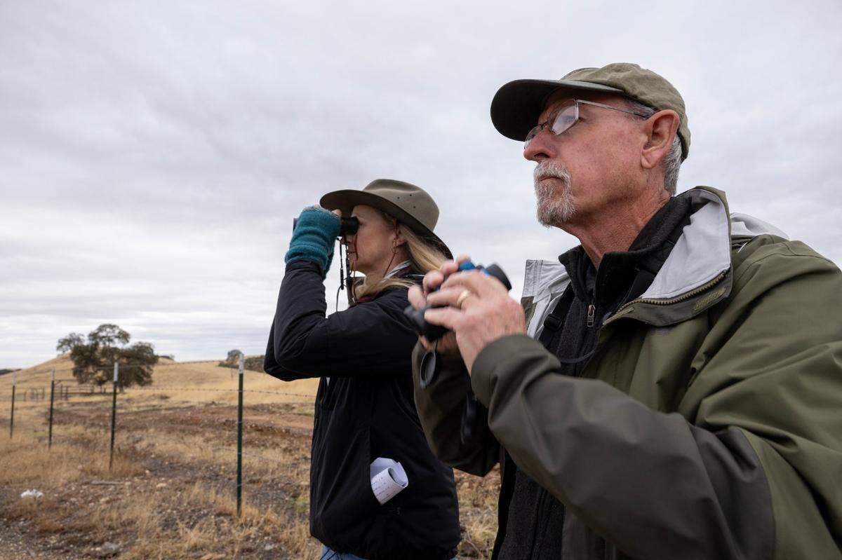 The Sacramento Audubon’s Dan Airola helps Pamela Flick, of convervation organization Defenders of Wildlife, identify birds living in the rolling hills of the $450 million Coyote Creek Solar project in eastern Sacramento County in November. Bald eagles, burrowing owls and tri-colored blackbirds are some of the species that live in the area.