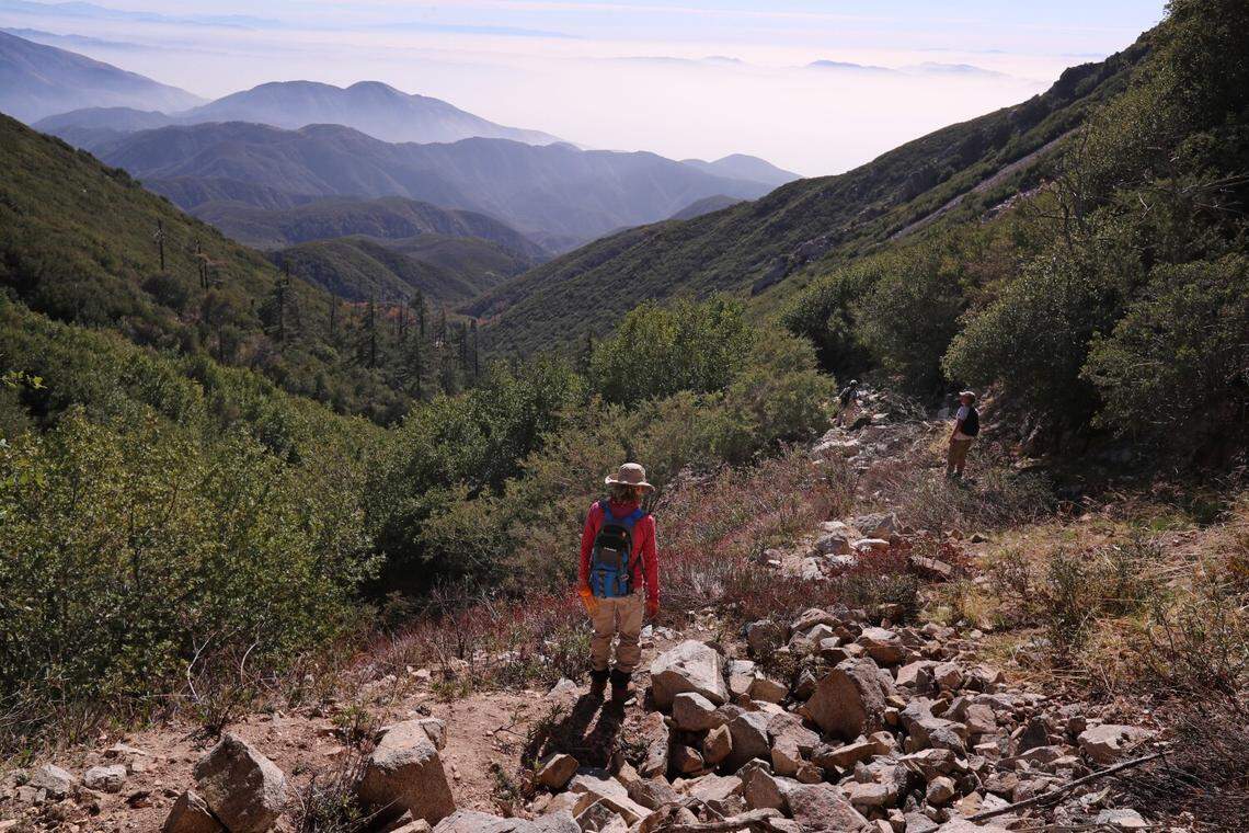 Environmental activist Amanda Frye hikes through the San Bernardino National Forest in 2021 to see the water pipelines that the company BlueTriton uses to take water for the bottled water brand Arrowhead.