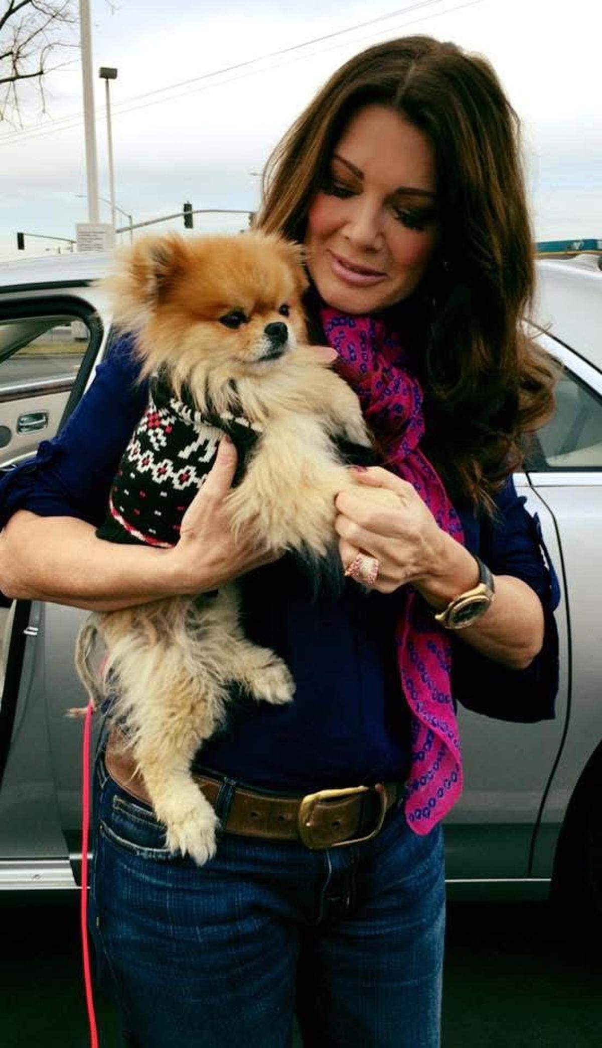 Harrison, a Pomeranian, arrived at the Sacramento SPCA with some hair loss. Shelter employees tweeted about him at Lisa Vanderpump of “The Real Housewives of Beverly Hills” in part because her previous previous Pomeranian had the same hair loss. Vanderpump adopted Harrison from the shelter.