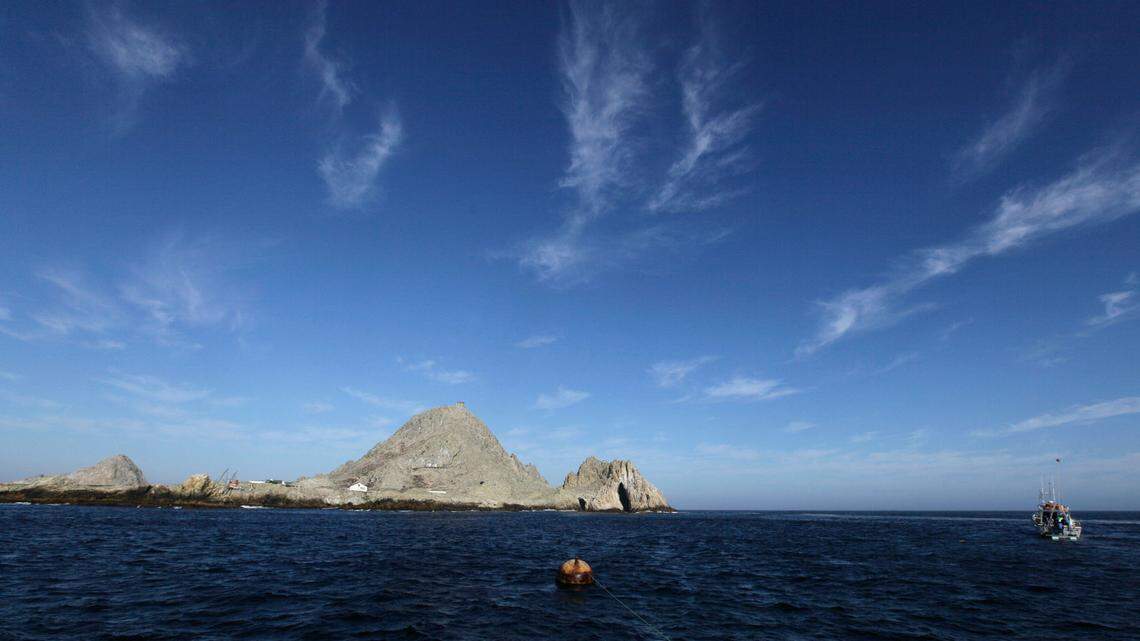 The San Francisco District Attorney’s Office has sued a man for catching hundreds of crabs illegally a protected area, according to the lawsuit. (AP Photo/Eric Risberg, File)