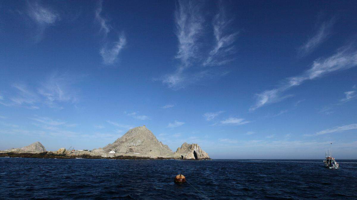 The San Francisco District Attorney’s Office has sued a man for catching hundreds of crabs illegally a protected area, according to the lawsuit. (AP Photo/Eric Risberg, File)