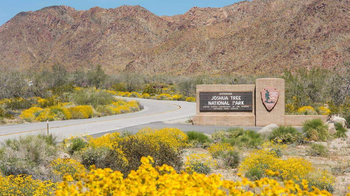 A hiker was hoisted into a helicopter July 4 in Joshua Tree after a “heat-related emergency,” officials said.