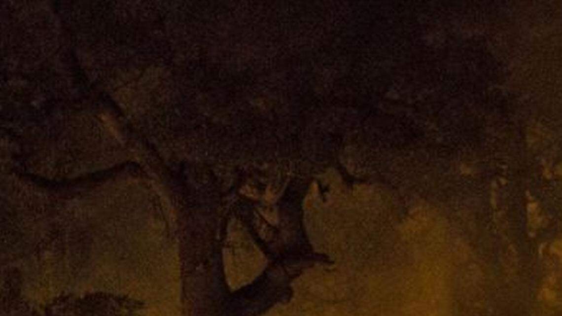 Firefighters battle a Northern California blaze in 2012.