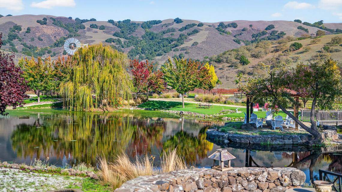 NorCal ranch for lovers of horses, wine and fun is beautiful ‘like a fairytale’