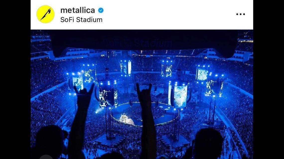 A pup named Storm escaped her yard in California to attend a Metallica concert.