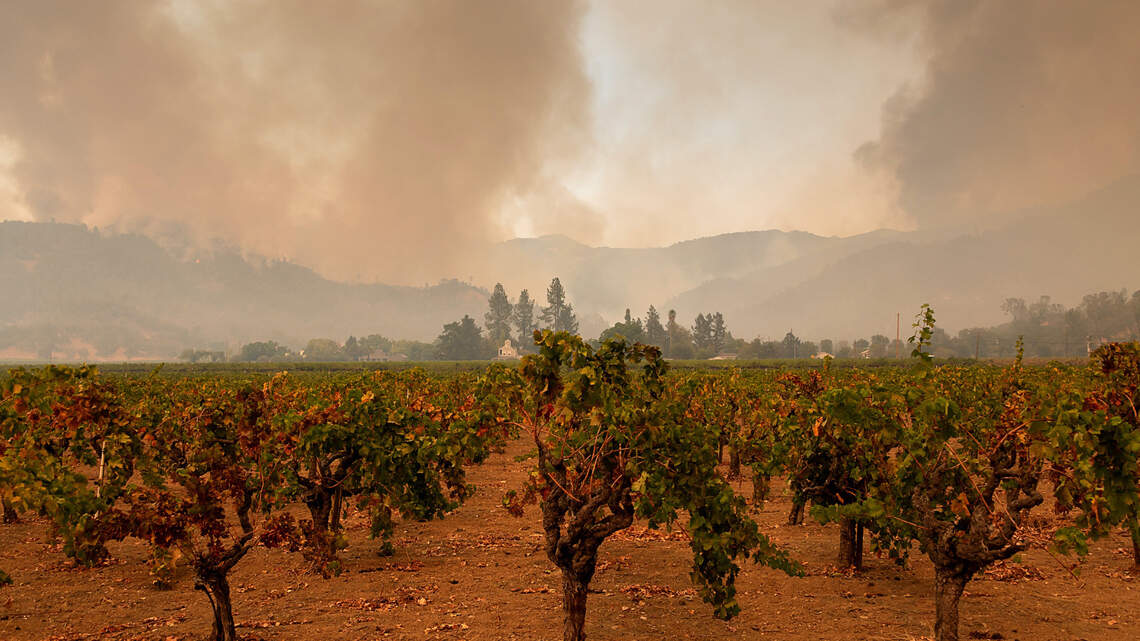 ‘It’s gut wrenching.’ California’s Glass Fire ravages hard-hit Napa-Sonoma wine country