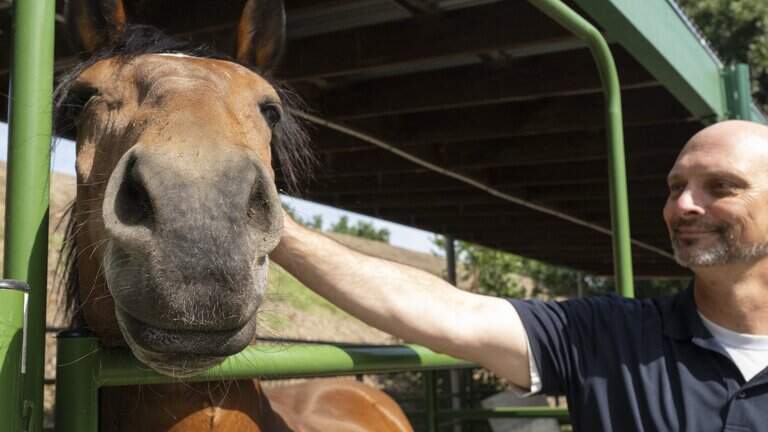Sacramento’s mounted police unit rides off into the sunset, victim of budget cuts
