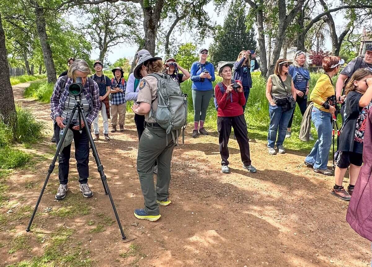 A group on a “Blooms and Birding” walk with State Parks interpreter Nicole Barden stops to look at the bald eagle nest near Lake Natoma in Orangevale last weekend.