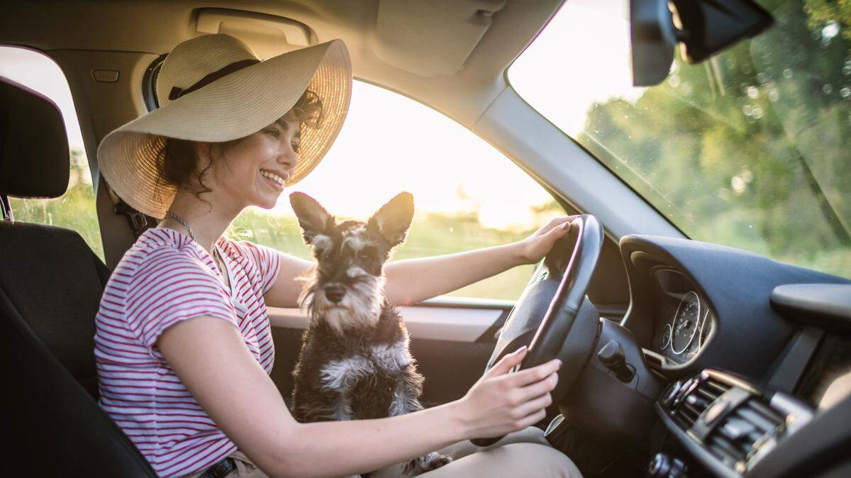Washington state law imposes a civil infraction on those who leave animals alone in the car without proper precautions.