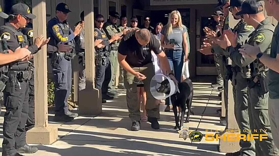 Placer K-9 Sonic heads home after surgery for gunshot wound during Penryn standoff