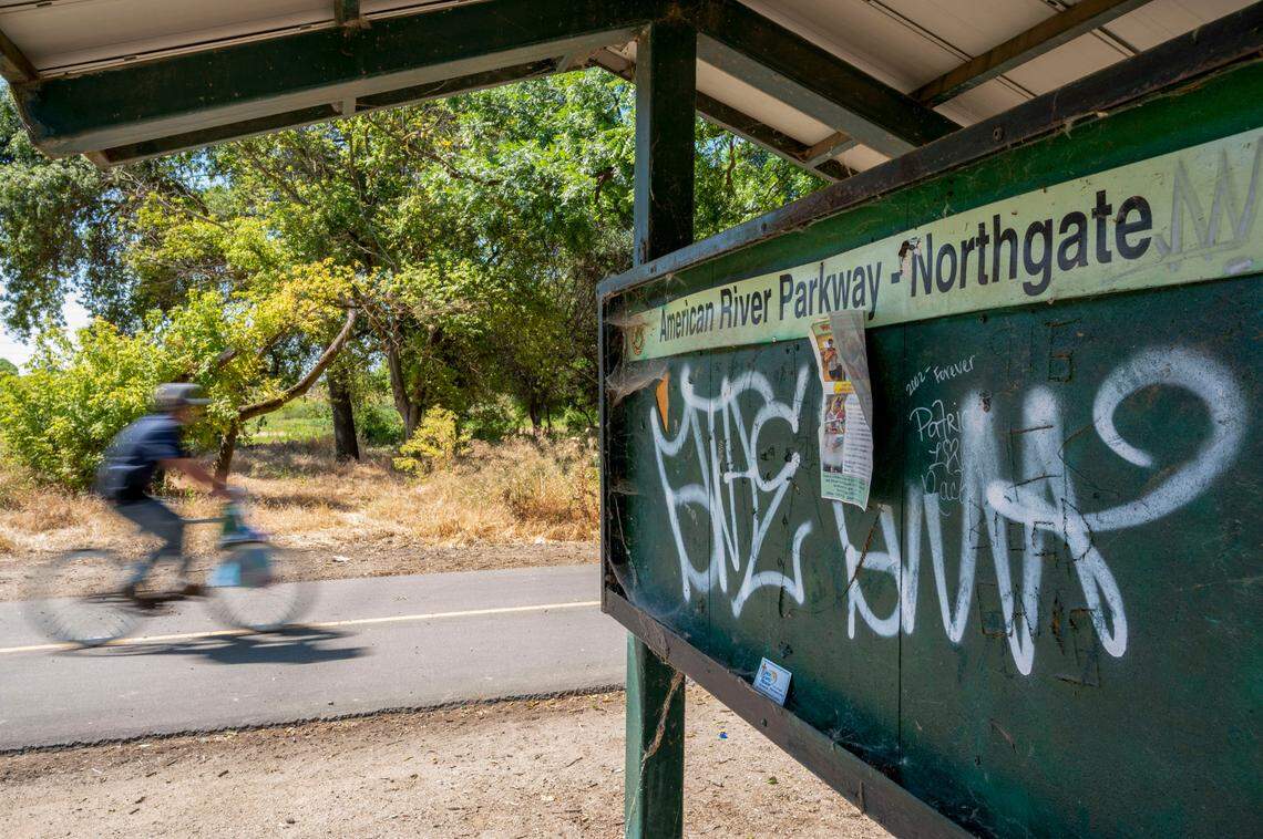 A a cyclist rides on the American River Parkway bike trail on June 23 past a sign covered in graffiti near the Northgate Boulevard entrance.