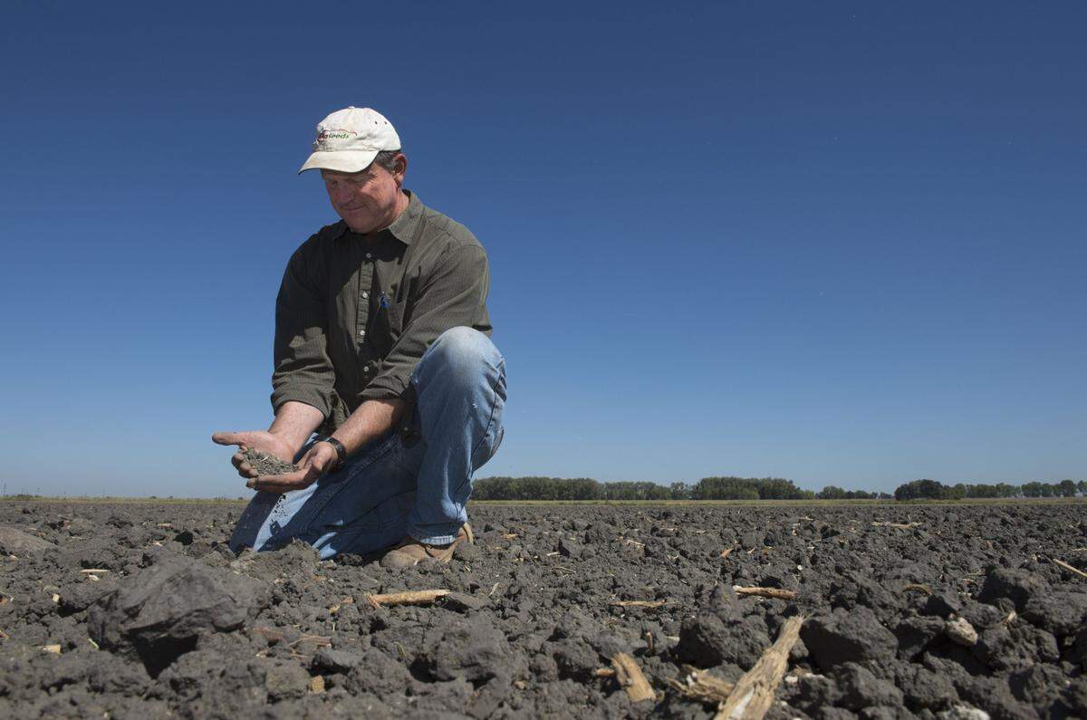Fritz Durst, a fifth-generation farmer photographed in one of his Yolo County fields in 2015, is the chair of the governing board of the Sites Reservoir project.