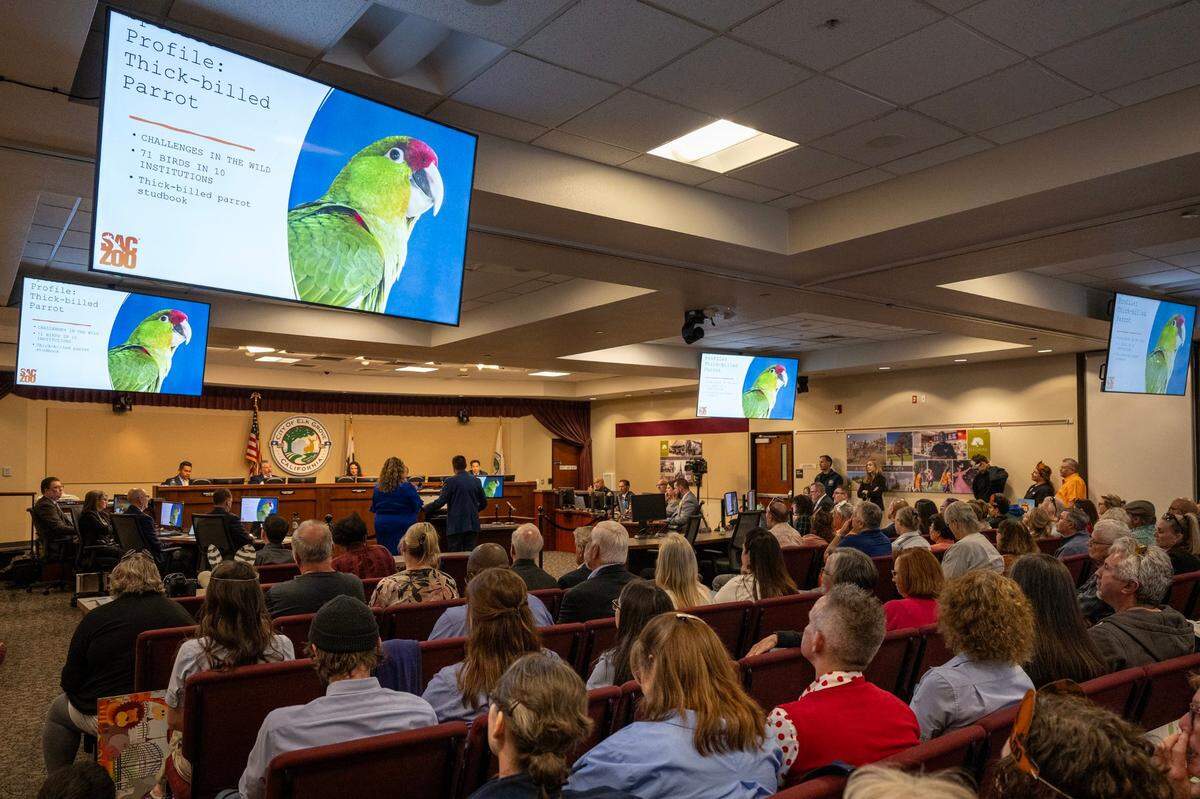In a packed Elk Grove council chamber, locals listen to plans for the relocation of the Sacramento Zoo to Elk Grove in 2024.