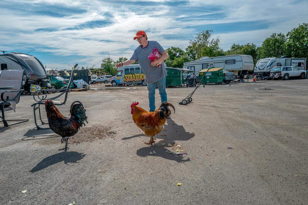 Camp Resolution leader Sharon Jones takes a break to feed chickens in April. Jones said she wanted chickens for a long time and they wake her up every morning. “They are really smart,” Jones said.