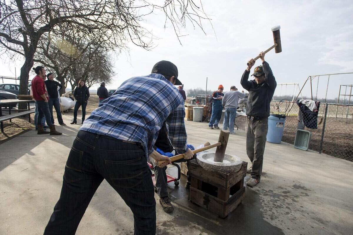 Mochi is pounded with wooden mallets during the annual Mochitsuki in Livingston in December 2016. Mochi is a rice cake that is made before New Year’s celebrations. The sweet rice is soaked, steamed and ground before the pounding begins.