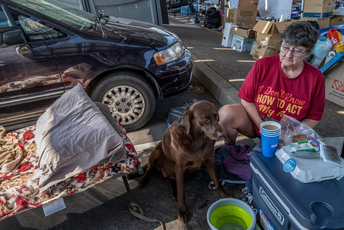 Debi Whitaker, 67, said she slept with her dog Samantha, 4, on a cot in a parking lot at Sierra College set up for Mosquito fire evacuees in Rocklin on Thursday. She said she has two more dogs in a shelter but Samantha was too nervous from the evacuation and she needed to keep her close by. I hope we get to go home soon, said Whitaker.
