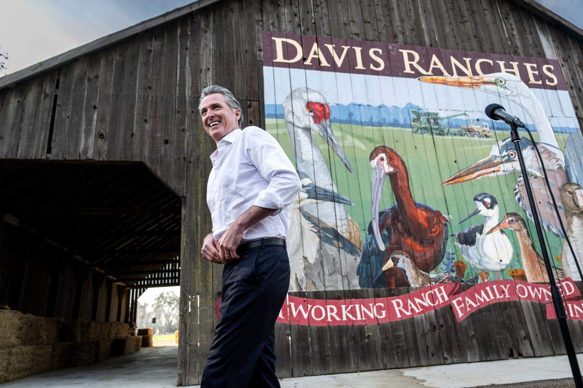 Gov. Gavin Newsom steps away from the microphone after taking questions from reporters on Tuesday, Dec. 10, 2024, during a visit to Davis Ranches, a family owned business since 1857, in Colusa County.