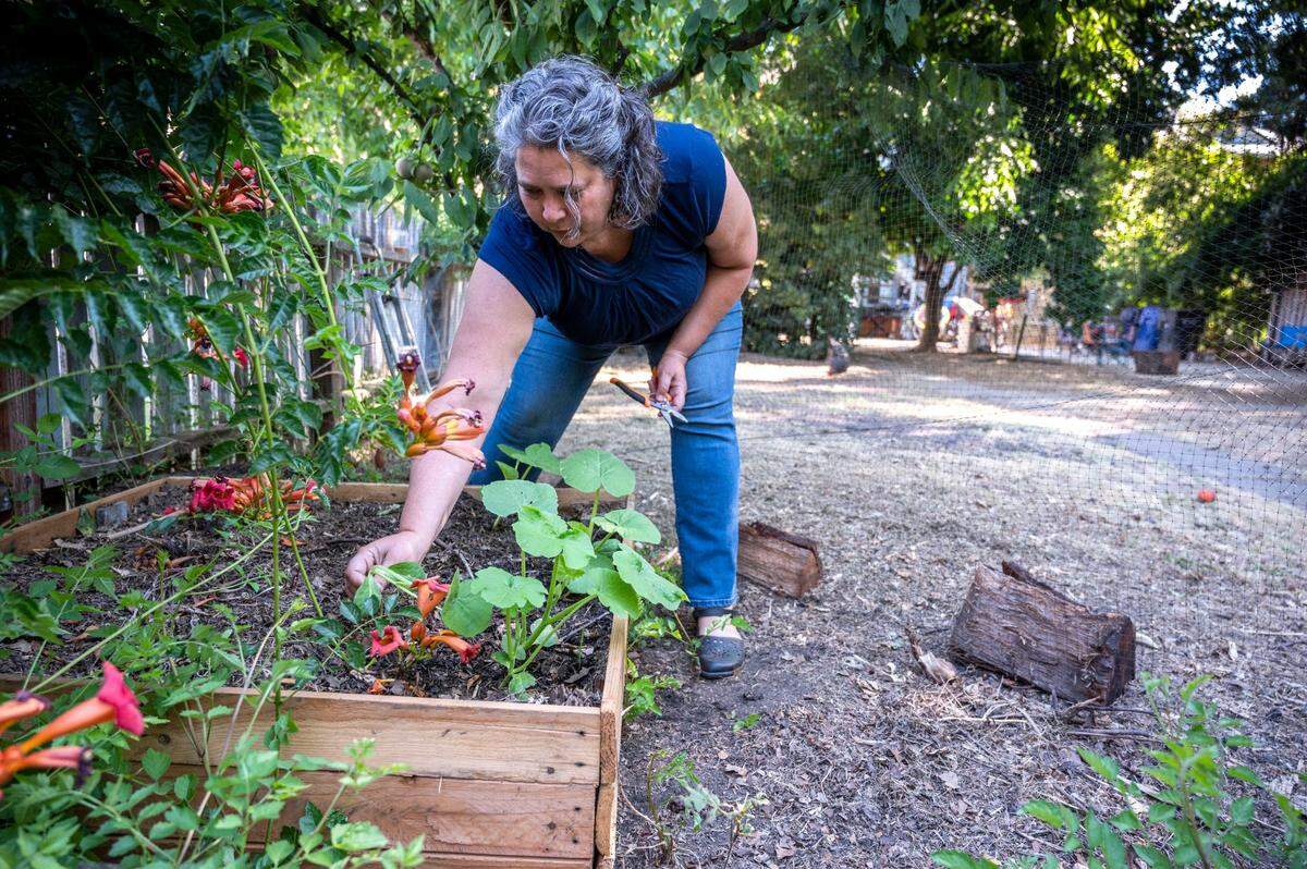 Megan Fidell, of Sacramento, works on her garden on earlier this month. After obtaining a late-term abortion in New Mexico because their baby had severe brain damage, she and her husband conceived a second baby that had the same condition: hydrocephalus. Because it was detected before 24 weeks, the couple was able to have the abortion in California. Fidell’s third pregnancy resulted in a healthy baby boy, born in 2014.